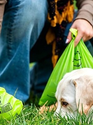 Dog walk with Ecozenda bags on the lead